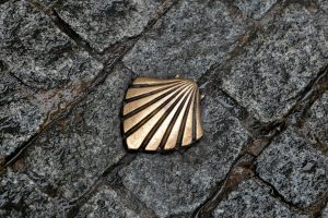 1.3.6Camino de Santiago