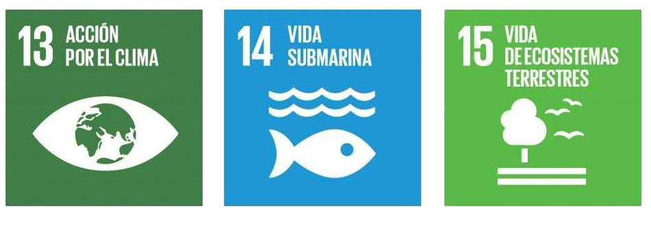 objetivos-de-desarrollo-sostenible-5